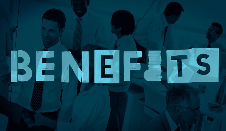 Custom Software Engineering Services Benefits