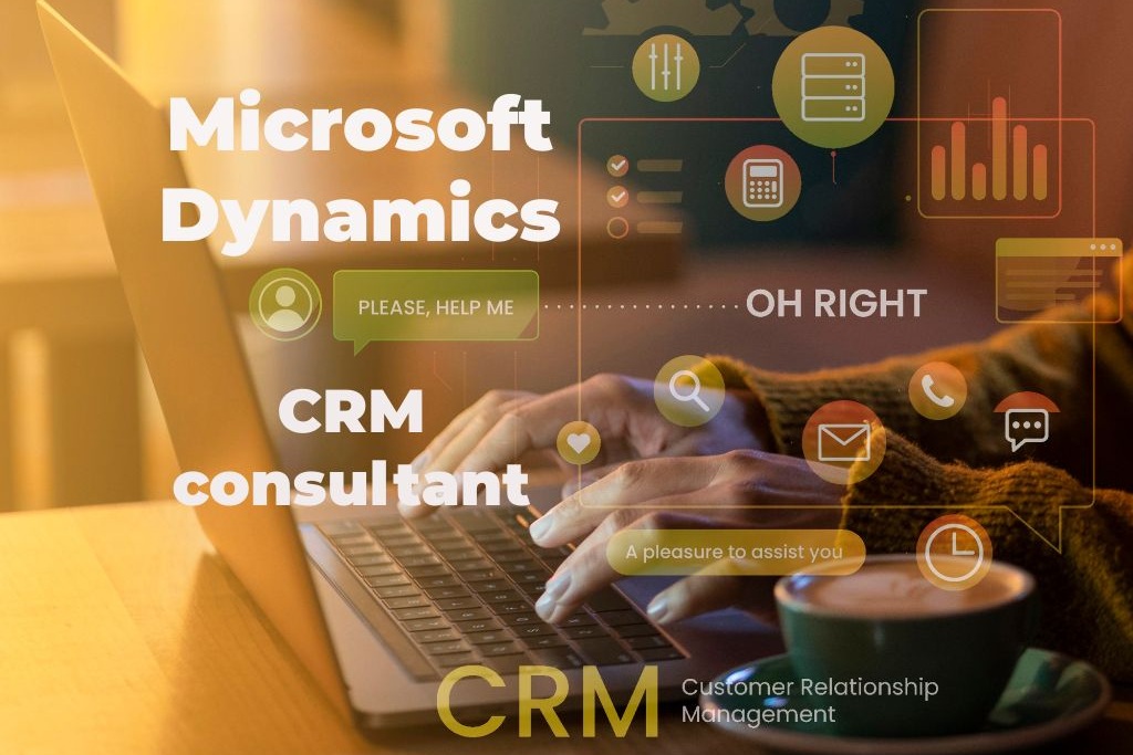 Microsoft Dynamics CRM consultant
